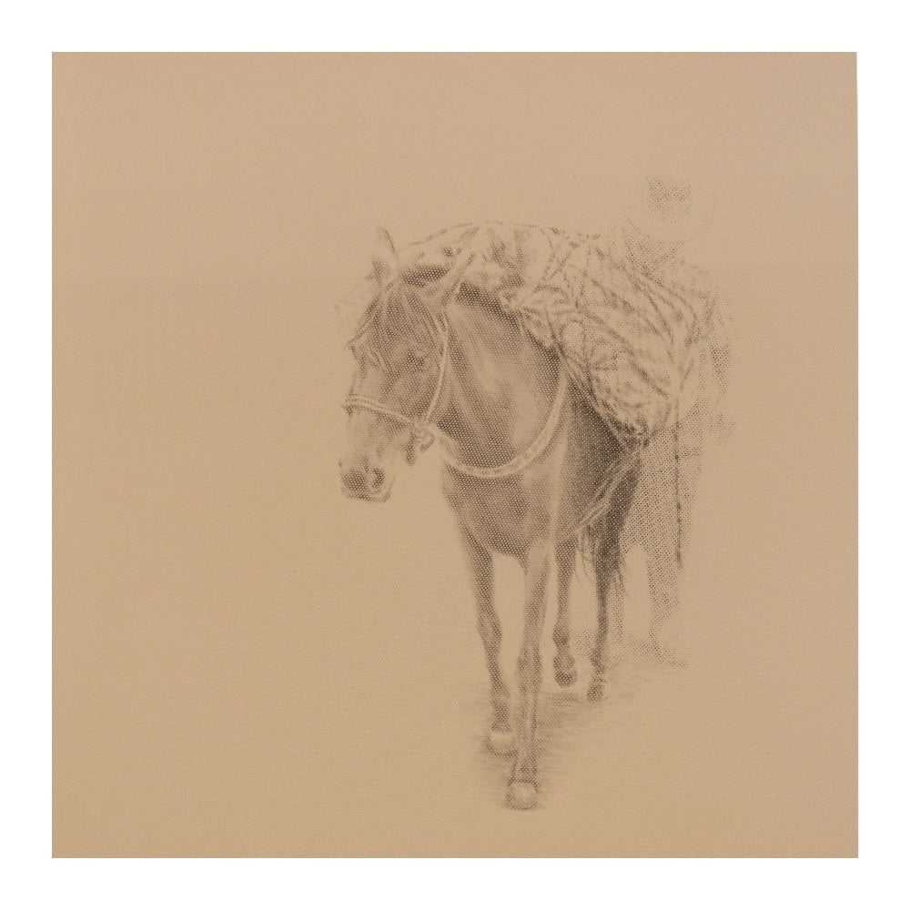 Sin título - Wilson Guerrero (2)