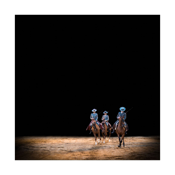 El baile del caballo español