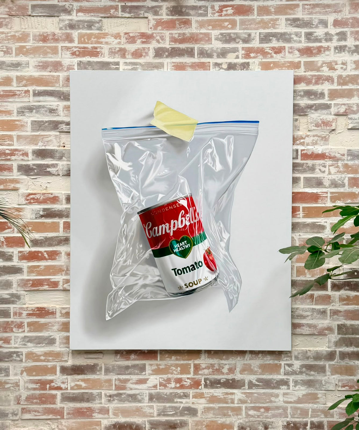Campbells,2026