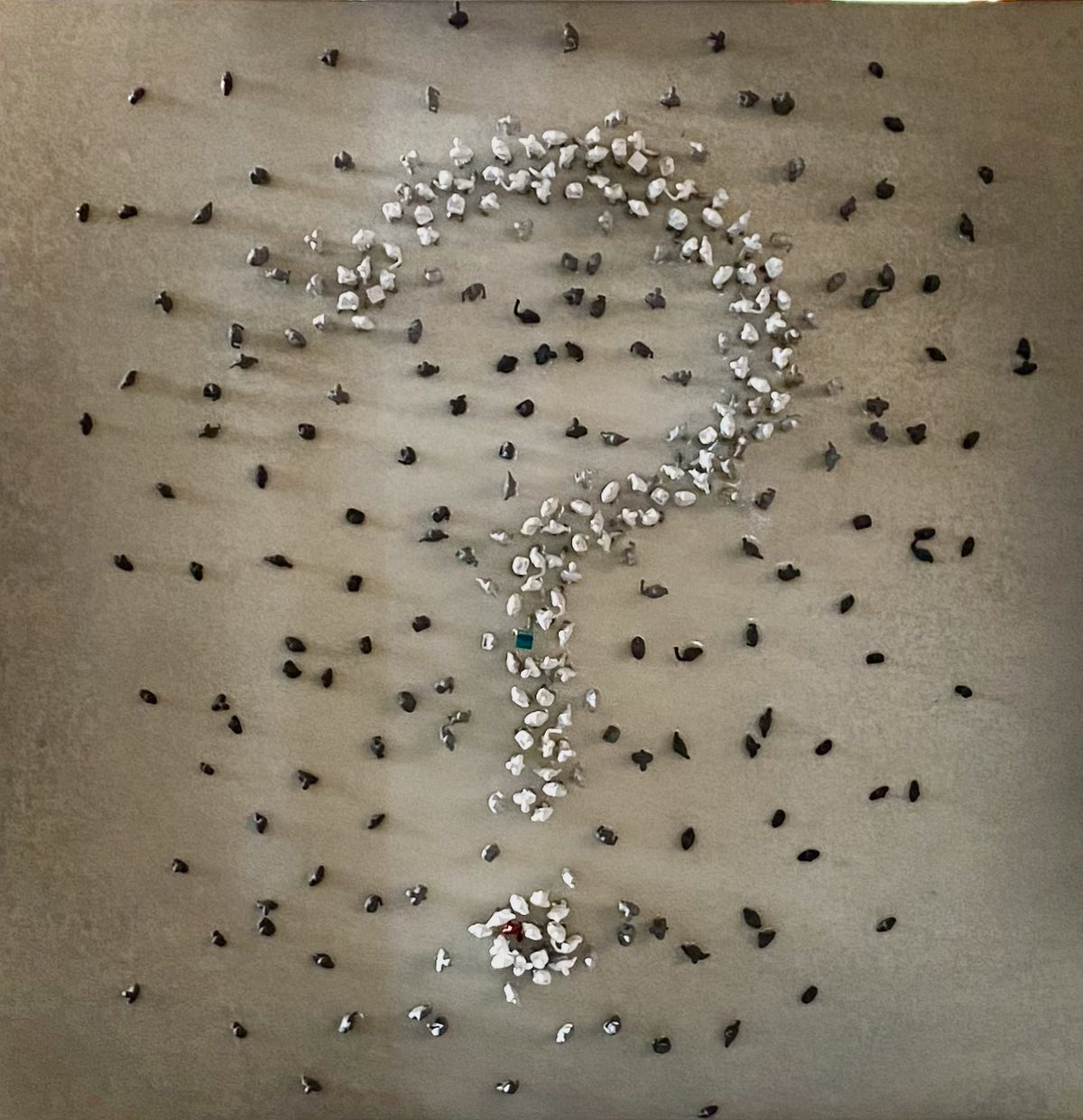 ¿?