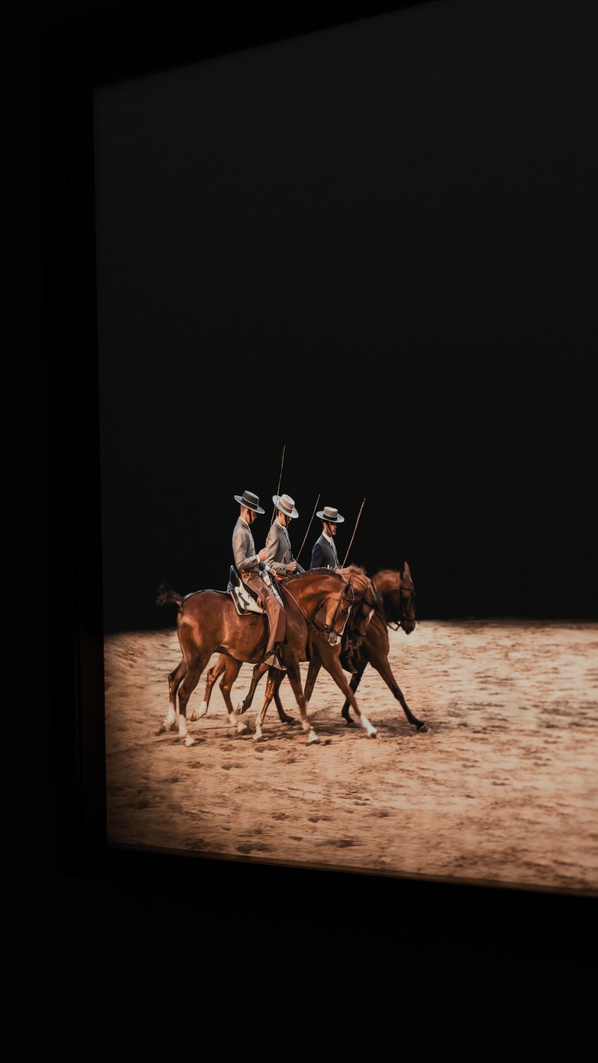 De la serie El baile del caballo español (5)