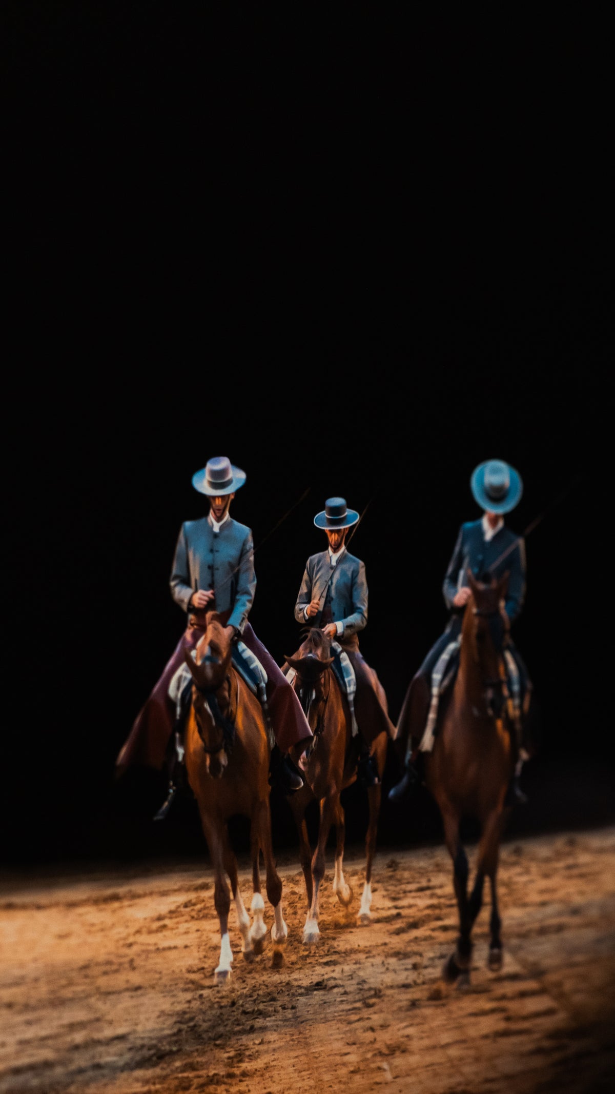 De la serie El baile del caballo español (6)