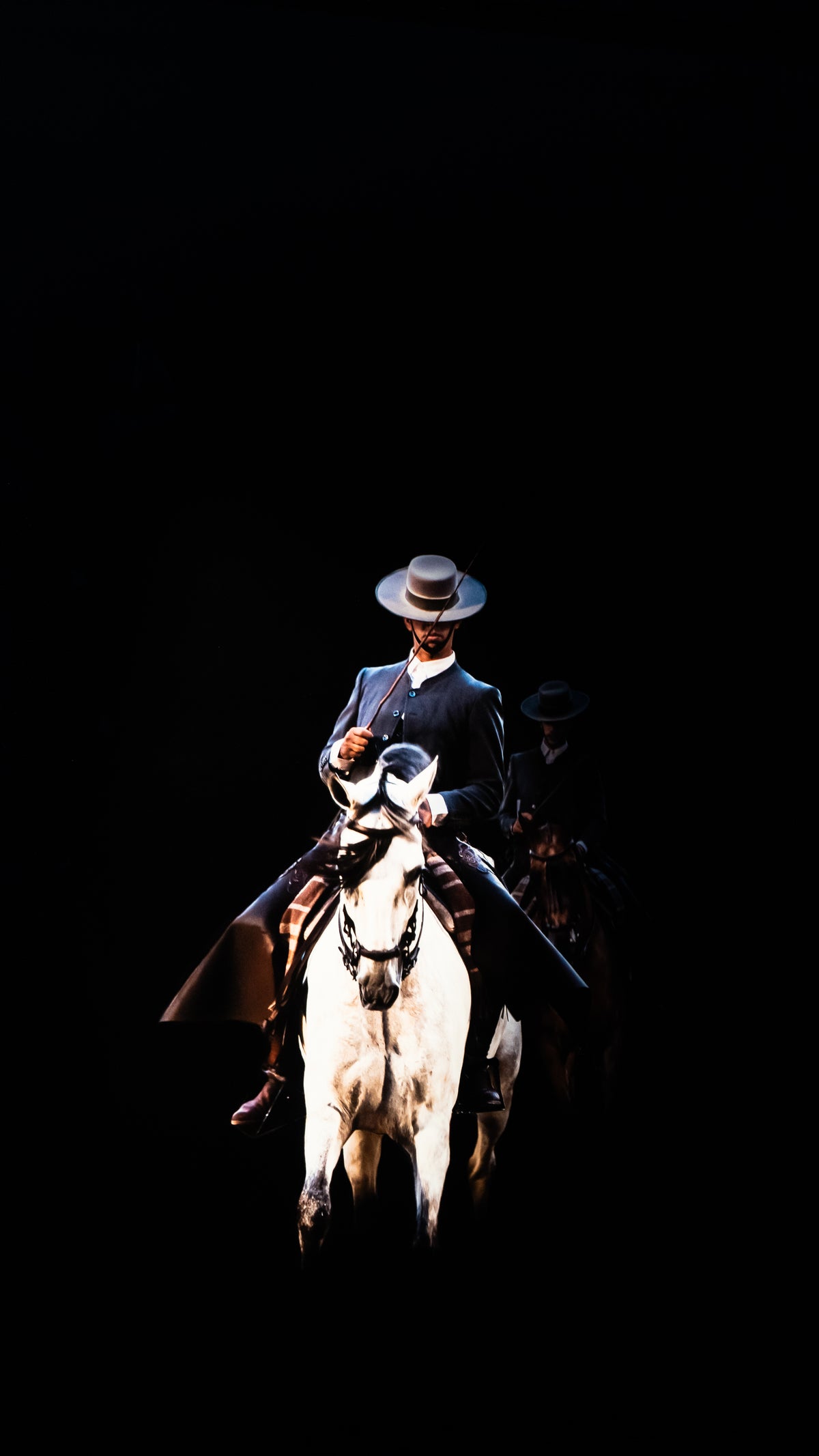 De la serie El baile del caballo español (1)