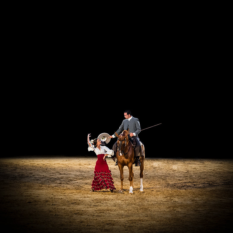De la serie El baile del caballo español (3)