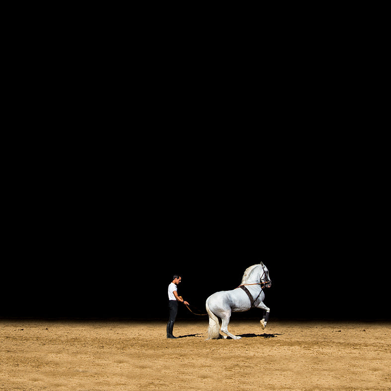 De la serie El baile del caballo español (8)