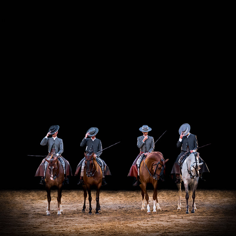 De la serie El baile del caballo español (2)