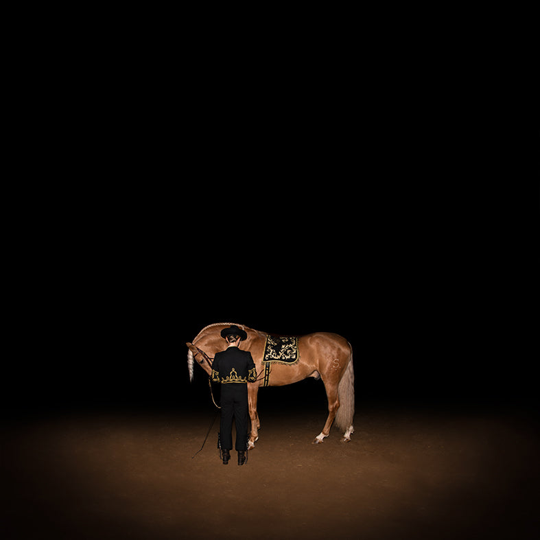 De la serie El baile del caballo español (4)