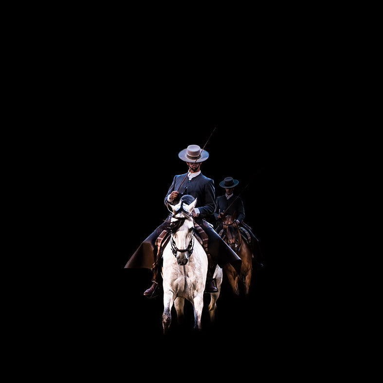 De la serie El baile del caballo español (1)