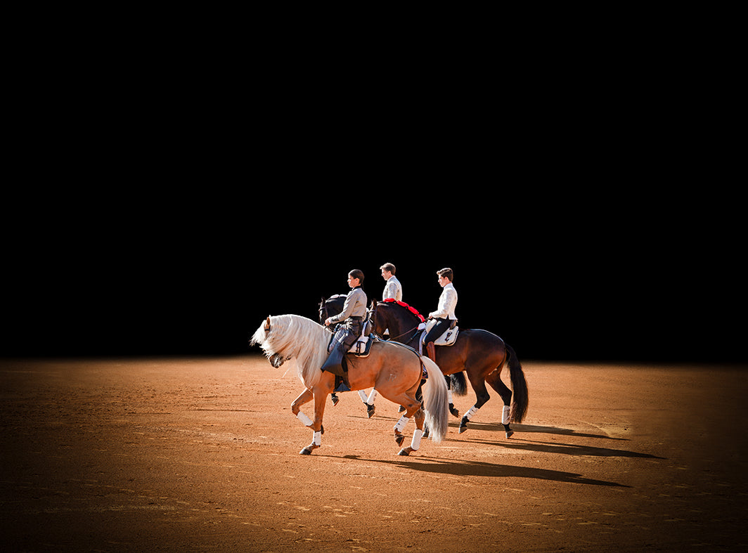 De la serie El baile del caballo español (11)