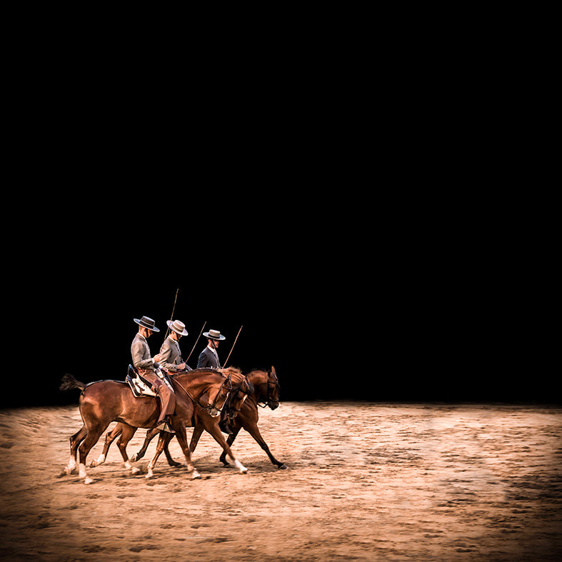 De la serie El baile del caballo español (5)