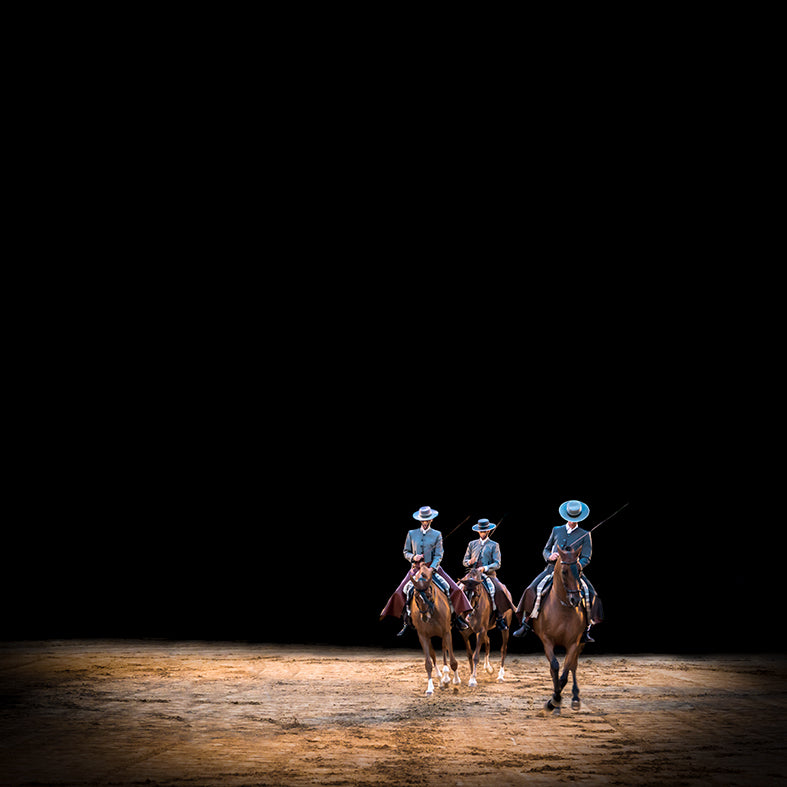De la serie El baile del caballo español (6)