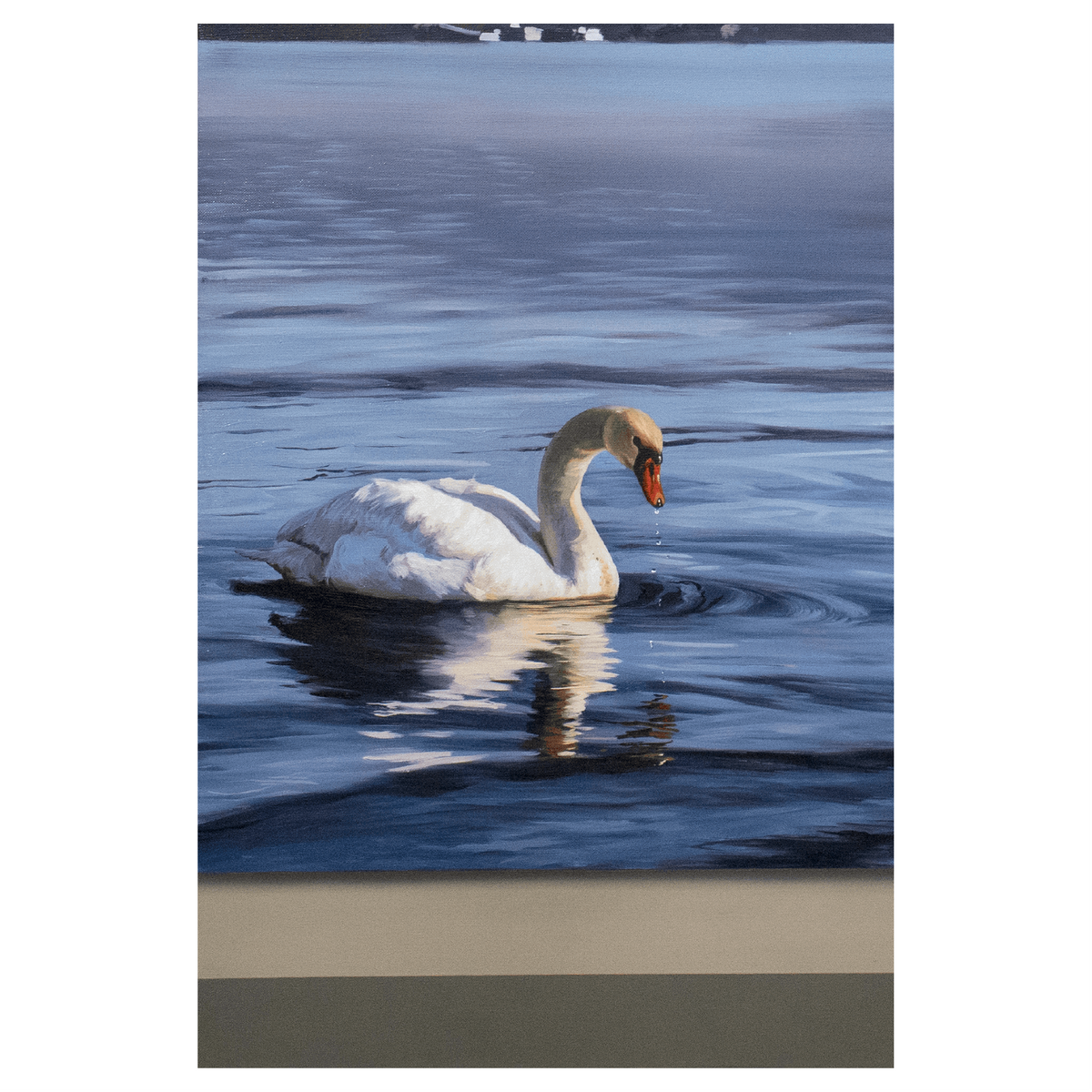 Acto de contemplación "Cisne"