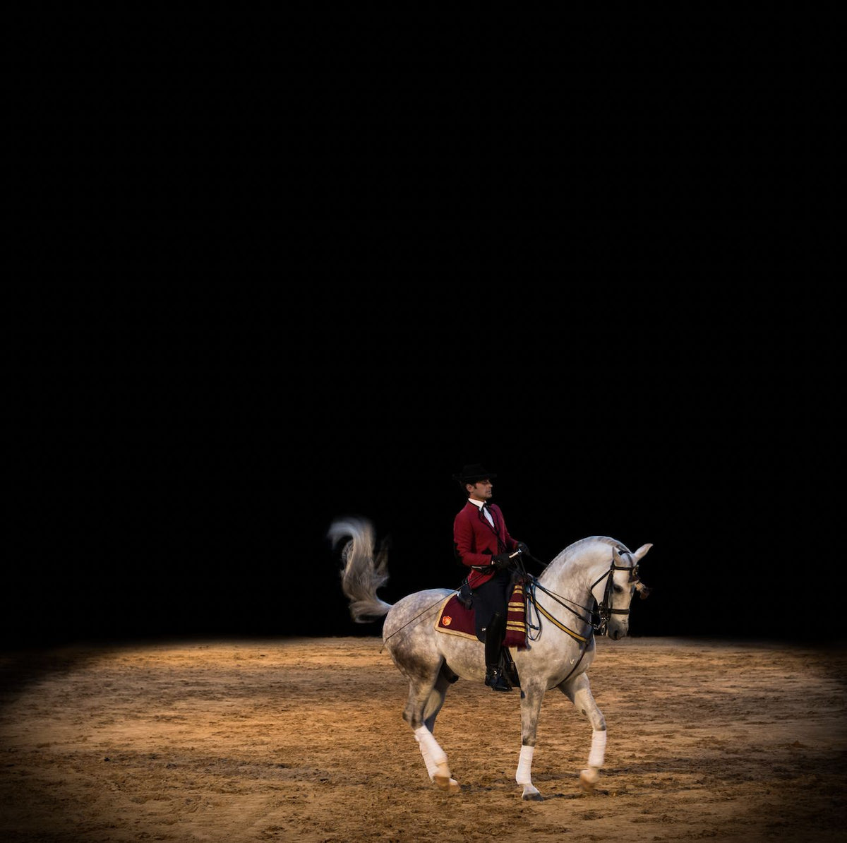 De la serie El baile del caballo español (9)